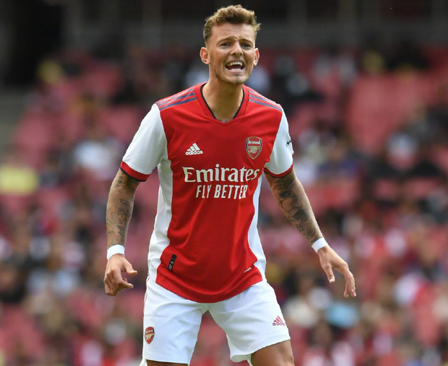 STAR SPORTS- 阿森纳名将 